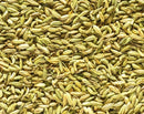 Fennel Seed