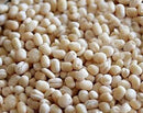 Urad Gota
