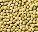 Whole Green Peas