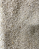 White Kidney Beans