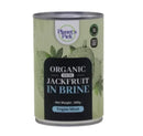 Planets Pick Young Jackfruit in Brine 400gm can