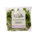 Fresh Coriander 100gm