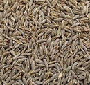 Cumin Whole Jeera